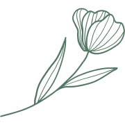 Kampanya bannerı